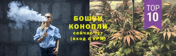 трава Верея