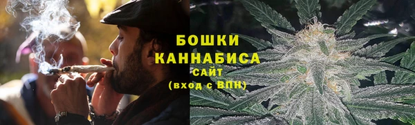 прущие грибы Володарск