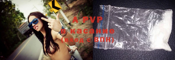 трава Верея